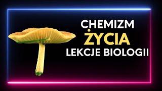 chemizm zycia