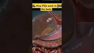 How pills work in the body #shorts #trending #video #seo #newyoutuber