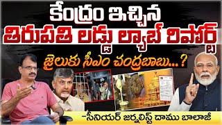 Central Government Report Over Tirupati Laddu | First Telugu Digital