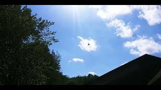 An Observation About A Past Observation   6/23/2024; 5:25 p.m.