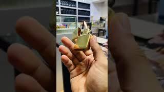 New zippo lighter solid brass