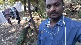 Mr Shiva creation o(2)
