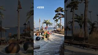 나 진짜 진짜 당신만을 사랑하고 사랑해내 삶의 반쪽 그대만을 #임영웅 #사랑해 진짜 #shorts