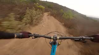 Harambe Trail? Ted Williams MTB