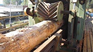 Amazing Automatic Wood Sawmill Machines Modern Technology - EXTREME Fast Wood Cutting Machine