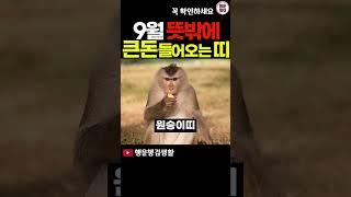 9월 운세 예상치못한 큰돈 들어오는 횡재수 대박 띠 #띠운세 #9월운세