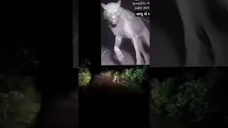 ડાકણ વડતળાવ 🫣