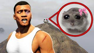 GTA 5 - ICH habe SAD HAMSTER gefunden!!