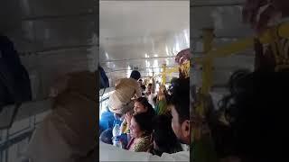 FREE BUS For  Women Effects