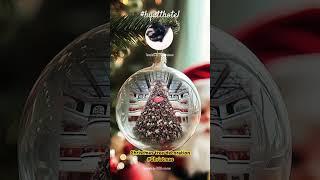 Christmas tree decoration #christmas #alliwantforchristmasisyou #music #merrychristmas #short