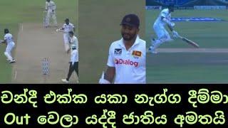 Dimuth Karunaratne livid with Dinesh Chandimal after being run out