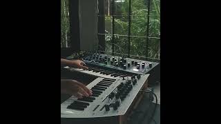 Moog Matriarch + Korg Minilogue by @markushasaya #shorts #synth