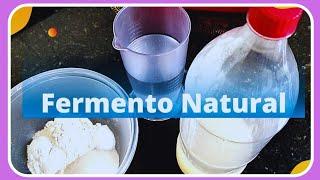 Como Fazer FERMENTO NATURAL de litro 