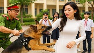 Chó LUCA Cắn Áo Cô Giáo Giữa Sân Trường – Lộ Vụ Án Giết Nam Sinh Khiến Cả Trường Bàng Hoàng!
