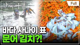 [Full] 한국기행 - 김치 대첩 제5부 사나이, 바다를 품다