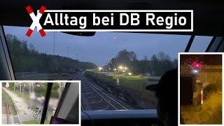 Sonstiger Alltag bei DB Regio #19 | Bauarbeiten, Personen, die den Zugverkehr stören und Fundsachen