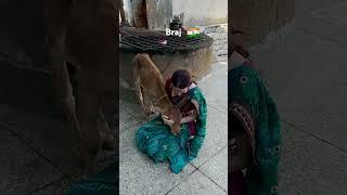 #foreigner embraces sanatandharma #india #bharat #harekrishna #vrindavan #indiashorts