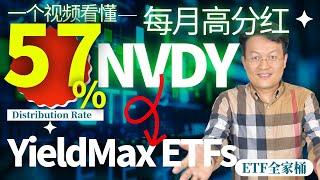 YieldMax NVDY ETF 深度解析：分紅率高達57.59%！揭秘每月分紅型ETF的高收益策略｜YIELDMAX ETFS ETT底层逻辑｜財富種植園