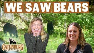 Bear safety tips for your Gatlinburg trip | Exploring with Elizabeth