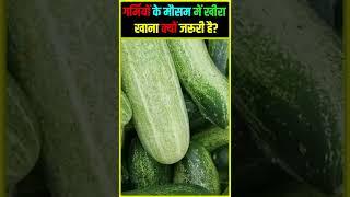 गर्मियों के मौसम में खीरा खाना क्यों जरूरी है?#cucumber #short #shorts #youtubeshorts #kfadda