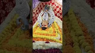 आज के पावन दर्शन खाटूश्यामजी || श्याम बाबा के दर्शन || Khatu Shyam Ji Live Darshan || #khatu