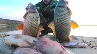 FISHING IS A DREAM !!!! LARGE FISH - CARP, BREAM JUST FOR A WORM