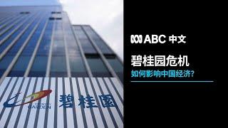 碧桂园等企业相继爆雷 房地产危机将如何影响中国经济？丨ABC中文