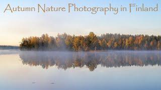 Autumn Nature Photography in Finland - Early Morning Walk with my Camera…