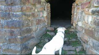 Geocaching at a Coke Oven (GCNW)