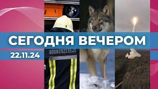 Утечка газа в Бауске | Волки - всё ближе к Риге | Совет НАТО-Украина