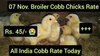 07 Nov. Chicks Rate +++ Today Rs. 45/- 