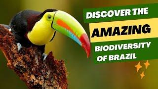 Discover the Amazing Biodiversity of Brazil #wildlife