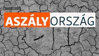 Aszályország – Van, aki már klímamenekült lett a saját, Tisza menti falujában