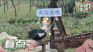 艺兴哥手机壳都换成彩灯了 离摸摸彩灯还远吗？《向往的生活5》 Back to Field S5 EP1丨MGTV