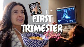 FIRST TRIMESTER PREGNANCY VLOG/RECAP | first signs and symptoms, travelling, reassurance scan & more