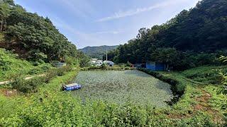 김천시 남면 송곡리 청정지역 산골토지 별장 놀이터 부지매매