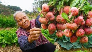 Cherry radish 樱桃萝卜这样泡，清脆爽口，开胃又下饭，做法简单不易坏｜Chinese Food 广西 美食｜ 玉林阿婆