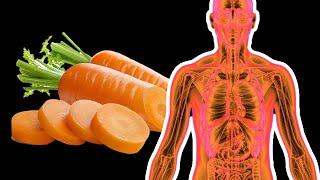 6 Amazing Benefits Carrots Do For Your Body