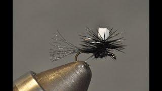 Brooks Sprout Midge