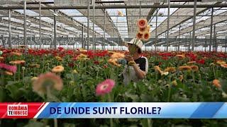 De Unde Sunt Florile?, reportaj realizat de echipa România, te iubesc!