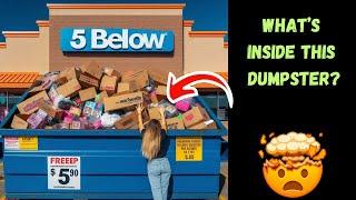 This Retail Store Throws Amazing Things In The Dumpster!  Dumpster Diving Haul