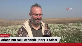 Adana’nın saklı cenneti: "Nergis Adası"