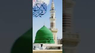 BOKHARI SUNNI NETWORK #@