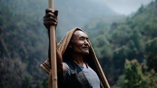 Himalayan Mad Honey - Honey Hunters of Nepal 