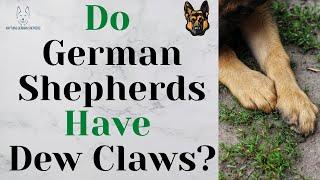 Do German Shepherds Have Dew Claws? (Why They're Important)