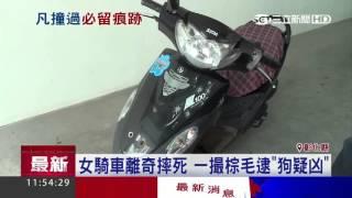 女騎車離奇摔死　一撮棕毛逮「狗疑凶」｜三立新聞台