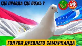 КАК НАЗЫВАЛИ ТАДЖИТСКИХ ГОЛУБЕЙ 60 ЛЕТ НАЗАД В ТАДЖИКИСТАНЕ ?  ЧЕРНОНОСЫЕ БУХАРСКИЕ ГОЛУБИ! ПРАВДА)