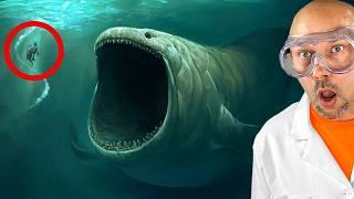 Most DANGEROUS Ocean Creatures In The World!