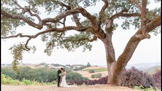 Northern California’s Top Barn Vineyard Wedding Venue -The Highlands Estate