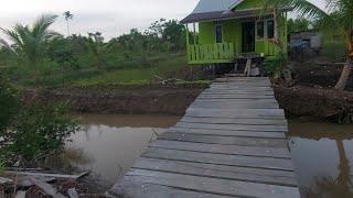 AIR PASANG TERLALU TINGGI TANGGUL DI DEPAN TERAS RUMAH PAK WANI TENGGELAM